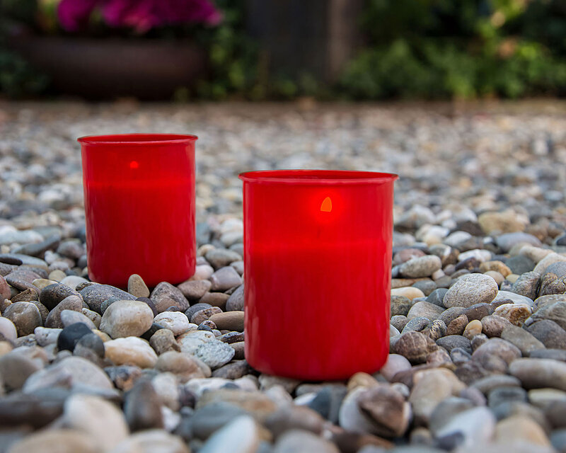 zwei rote brennende Dauerbrenner befinden sich leicht versetzt nebeneinander auf einem Boden mit Kies. Im Hintergrund leicht verschwommen befindet sich ein Blumenkübel mit violetten Blumen daneben ein großer Grabstein. Dahinter sieht man eine grüne Hecke.