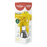 bolsius-true-scents-raumduft-60-mimose-1-101924970456 Ein True Scents Raumduft von Bolsius mit 60ml Inhalt mit dem Geruch Mimose.