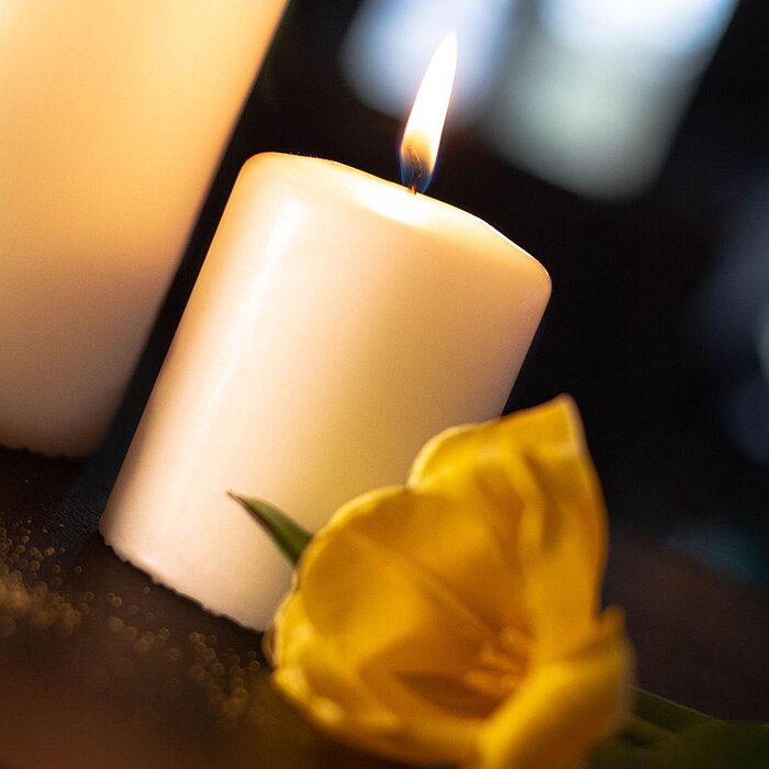 Zwei brennende, weiße Stumpenkerzen von DecoLite unterschiedlicher Größen stehen nebeneinander auf einer dunklen Oberfläche. Eine gelbe Tulpe liegt vor den Kerzen, was eine warme und beruhigende Stimmung erzeugt.