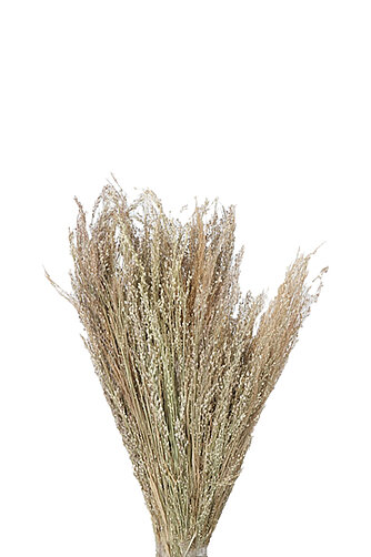 Artikelvorschau Dekozweige "Liebesgras" (18 cm)