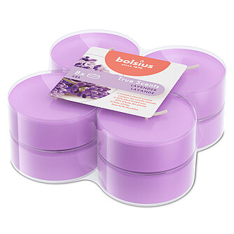 Bolsius True Scents Maxi-Lichte Clear Cup - Lavender (8er Pack) Artikelvorschau True Scents Maxi-Lichte Clear Cup - Lavender (8er Pack)