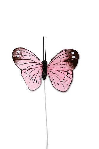 Artikelvorschau Feder Schmetterling 5 cm (12 Stück)