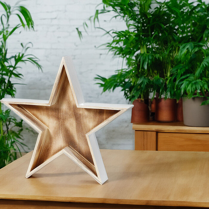 Ein holzfarbener Stern steht auf einem hellen Holztisch. Im Hintergrund befinden sich mehrere grüne Pflanzen in Töpfen auf einer Kommode vor einer weißen Ziegelwand. Die Szene vermittelt ein Gefühl von Natur und Ruhe im Innenraum.