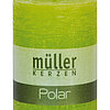 Eine Polar Stumpenkerze von Müller Kerzenfabrik in der Größe 10x6,8cm in der Farbe maigrün.