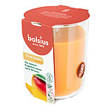 duftglas-gross-mango-101924940310.jpg