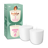 Zwei Cleanlight Duftkerzen-Nachfüller mit Gardenia/Feige-Duft stehen neben der dazugehörigen grünen Verpackung mit Bolsius Schriftzug.