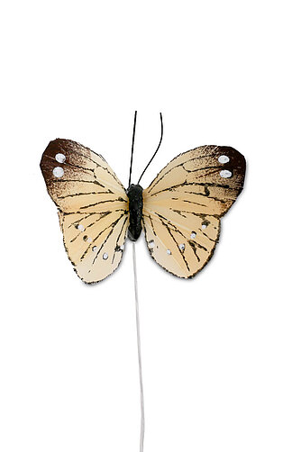 Artikelvorschau Feder Schmetterling 5 cm - gelb (12 Stück)