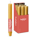 Eine durchgefärbte XL Rustik Haushaltskerze mit konischem Fuß in der Farbe Haferbeige. Im Hintergrund ist ein 9er Pack der Stabkerzen in einer Schachtel von Bolsius zu sehen.