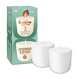 Zwei Cleanlight Duftkerzen-Nachfüller mit Zedernholz/Vetiver-Duft stehen neben der dazugehörigen grünen Verpackung mit Bolsius Schriftzug.