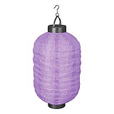 Eine Solar Laterne von Luca Lighting in der Größe 30x20cm in der Farbe violett.