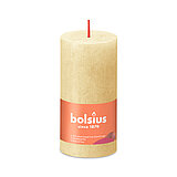 Eine durchgefärbte Rustik Stumpenkerze in der Farbe Haferbeige mit den Maßen 100/50mm (H/DM). Der Banderole kann man die Marke "Bolsius" sowie die Hinweise "25% pflanzenbasiertes EU-Wachs", "0% tierisches Fett" und "Ohne Palmöl" ablesen.