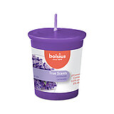 true-scents-votiv-lavendel-101926440177.jpg