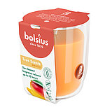 duftglas-medium-mango-101924930310.jpg