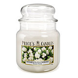 prices-candles-apothekerglas-142-95-moments-to-cherish-411g-pmj010356 Eine Apothekerglas-Kerze von Prices Candles in der Größe 14,2x9,5cm mit dem Duft "Moments to Cherish" und einem Gewicht von 411g.
