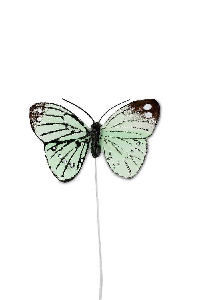 12 Feder-Schmetterlinge von Steingaesser in der Größe 5cm in der Farbe Grün.