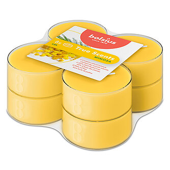 Artikelvorschau True Scents Maxi-Lichte Clear Cup - Mimose (8er Pack)
