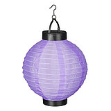 Eine Solar Laterne von Luca Lighting in der Größe 20cm in der Farbe violett.