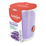 duftglas-gross-lavendel-101924940377.jpg