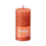 Eine durchgefärbte Rustik Stumpenkerze in der Farbe Herbstliches Orange mit den Maßen 100/50mm (H/DM). Der Banderole kann man die Marke "Bolsius" sowie die Hinweise "25% pflanzenbasiertes EU-Wachs", "0% tierisches Fett" und "Ohne Palmöl" ablesen.