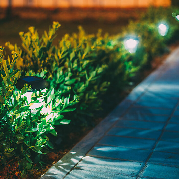 Ein beleuchteter Gehweg, der von vier Gartenleuchten gesäumt wird. Die Gartenleuchten sind in eine dichte Hecke integriert und werfen ein warmes, einladendes Licht auf den Pfad und die umliegenden Blätter. Der Gehweg besteht aus gleichmäßig verlegten Plat